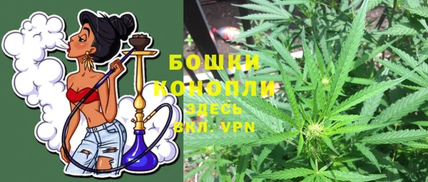 дживик Богданович