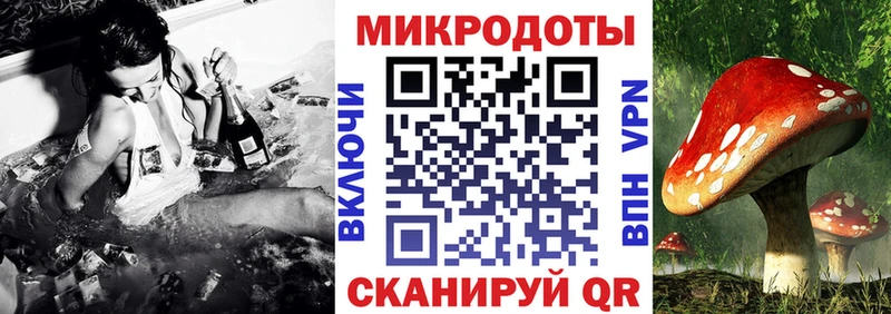Галлюциногенные грибы GOLDEN TEACHER  где купить наркотик  Боровичи 